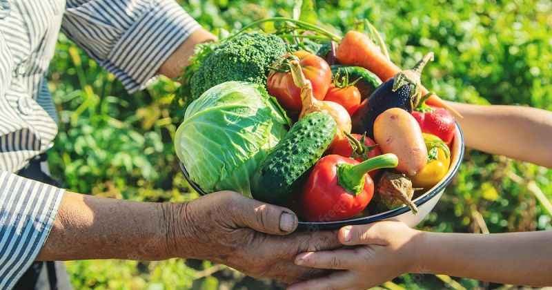 Comissão aprova projeto que incentiva hospitais a comprar alimentos da agricultura familiar