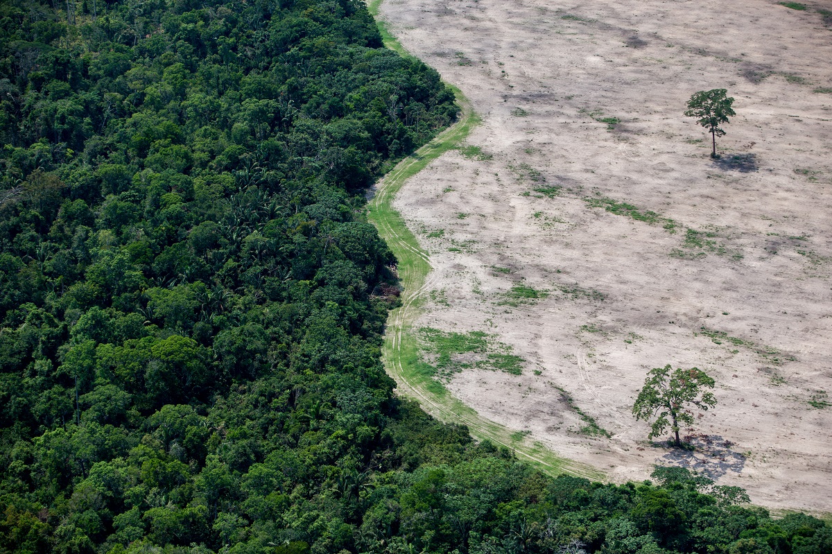 Brasil, Sinop, MT. 13/10/2015. Área entre Sinop e Brasnorte vistoriada por helicóptero por agentes do Ibama que controlam áreas de desmatamento de floresta amazônica, mata de transição e cerrado, que dão lugar a plantações gigantescas de soja e pastagem para gado. - Crédito:TIAGO QUEIROZ/ESTADÃO CONTEÚDO/AE/Código imagem:199323