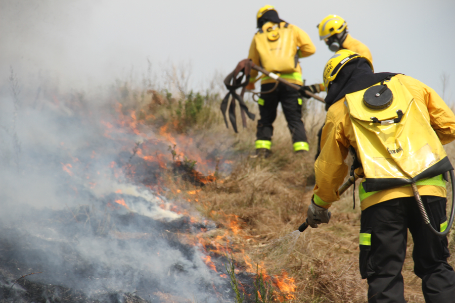 Governo estuda confiscar propriedades rurais afetadas por incêndios criminosos