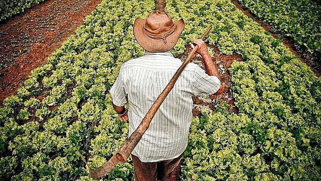 Aprovado projeto que incentiva hospitais comprar alimentos da agricultura familiar