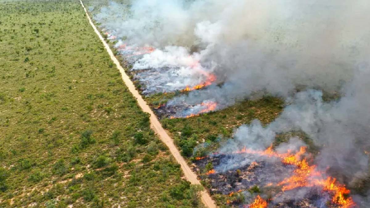 Queimadas: Governo autoriza créditos sem juros e prazo ampliado para produtores rurais