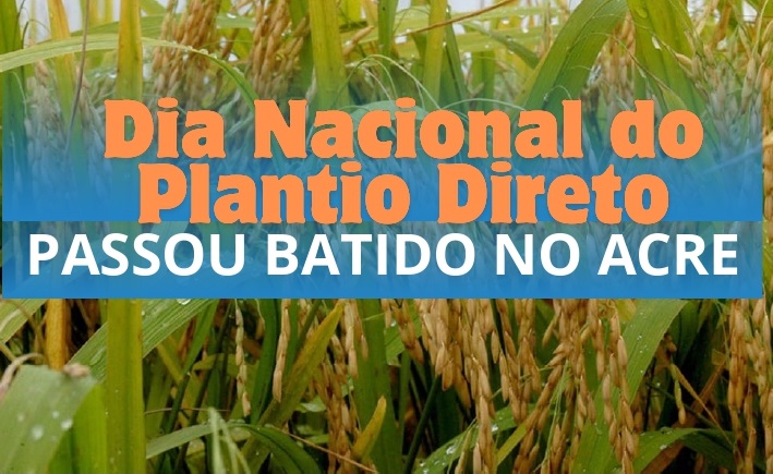 Dia Nacional do Plantio Direto passa em branco no Acre, sem eventos: Conheça o sistema