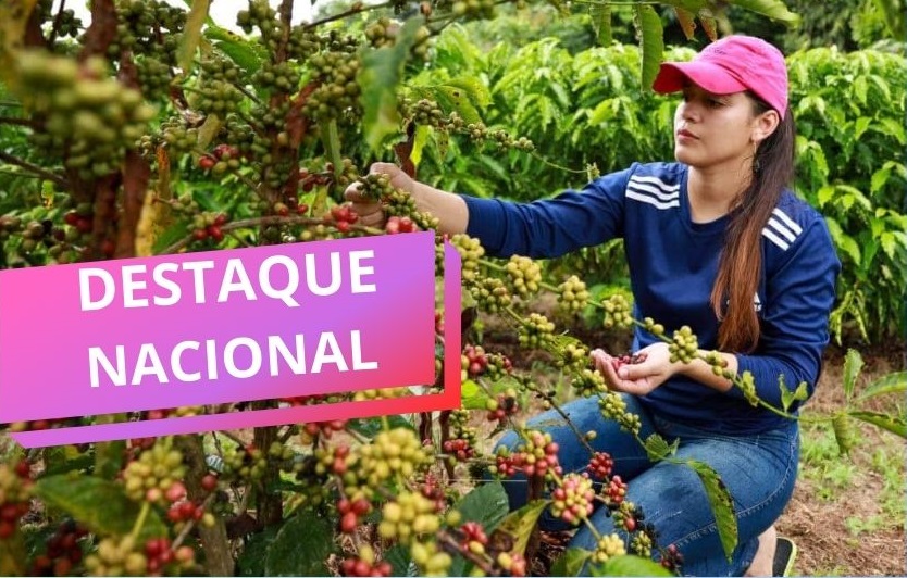 Acreanas são finalistas no maior concurso do mundo para mulheres produtoras de café