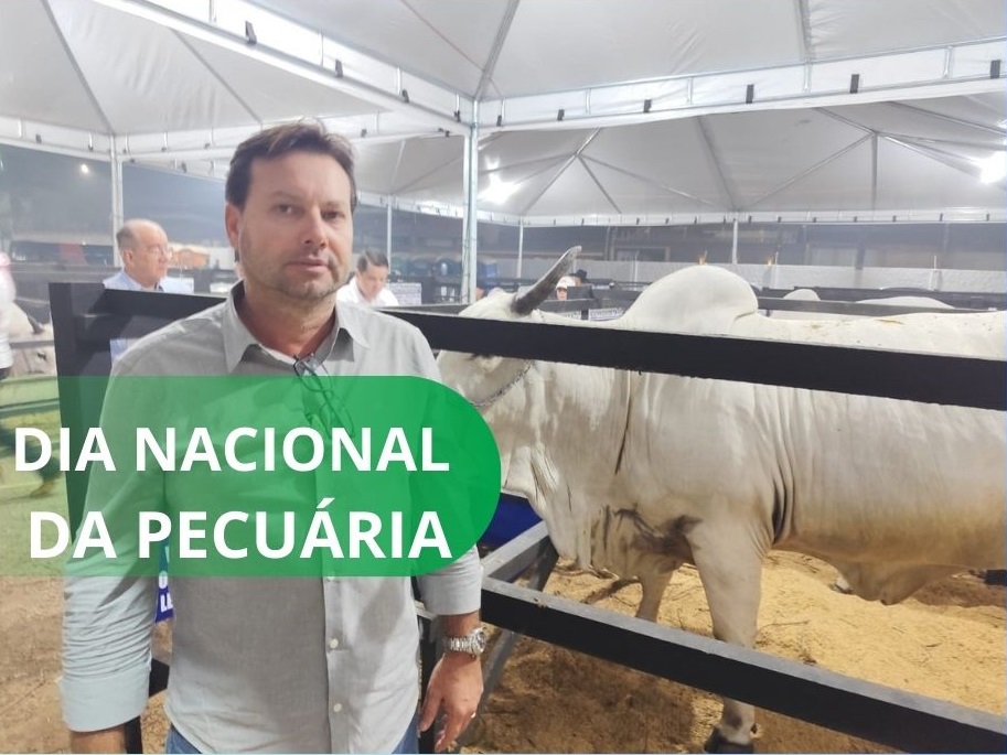 Especialista destaca pecuária acreana no mercado nacional: “Constante no crescimento e na qualidade”