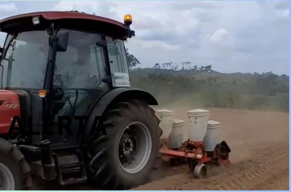 Em Brasiléia, produtores iniciam a plantação de milho e esperam a melhor safra