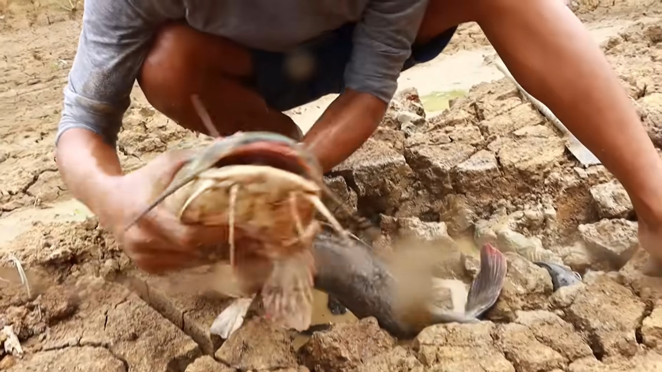 Auxilio Extraordinário para Pescadores: Em cidade do Acre, apenas um pescador terá direito