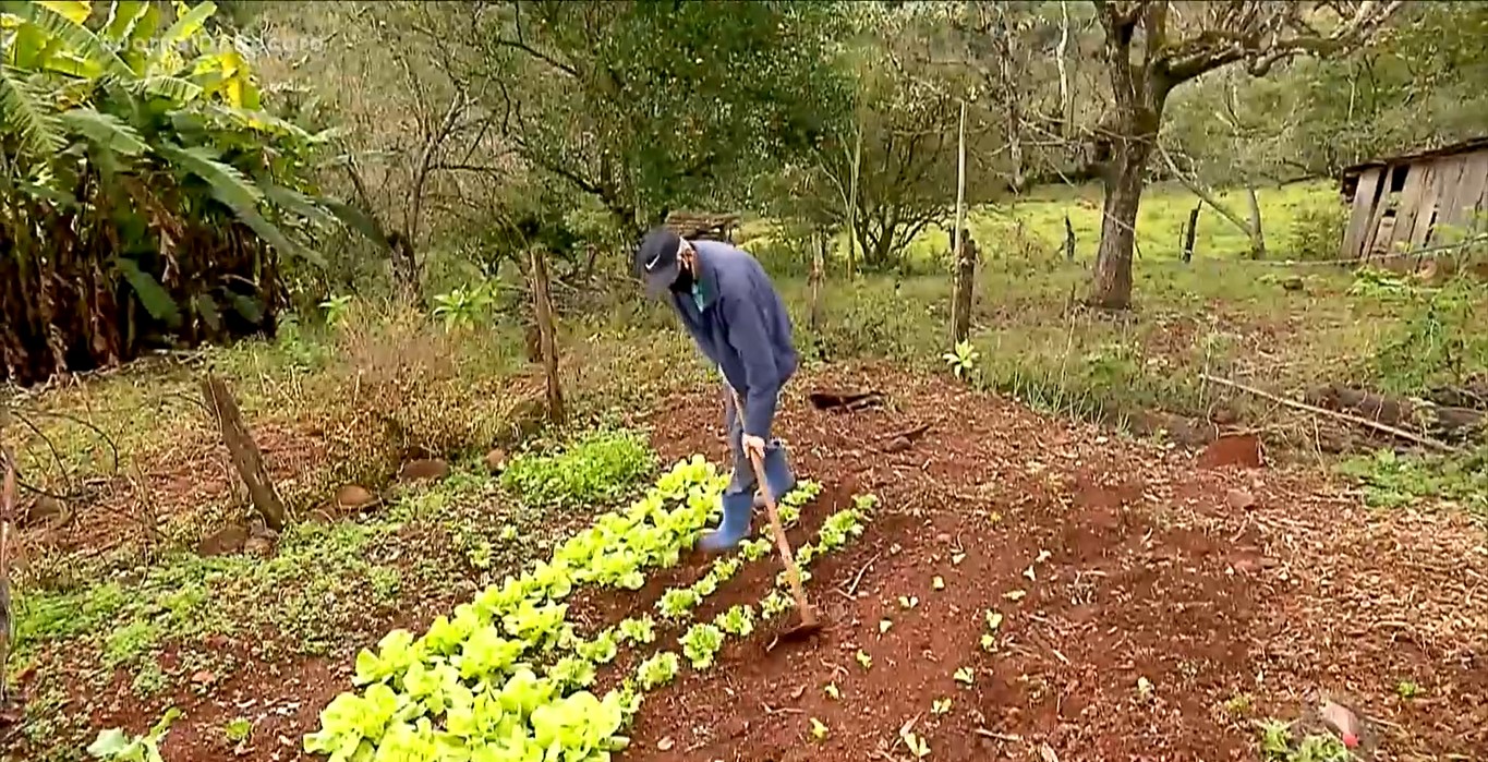 Estiagem afeta produção agrícola e agrava situação de pequenos agricultores no Juruá