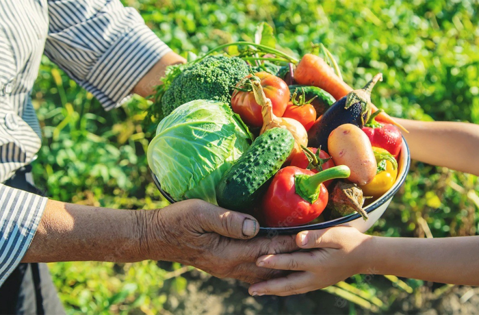 Projeto da Câmara quer inclusão de itens da agricultura familiar em cestas básicas no Brasil