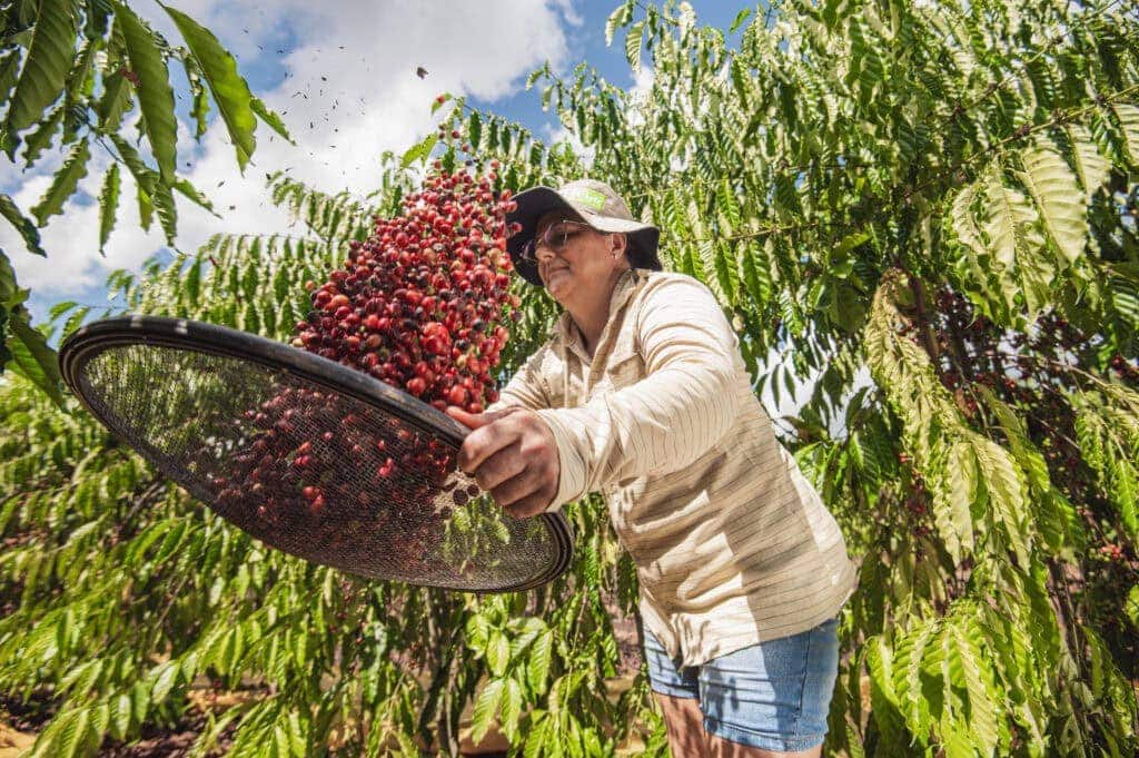 Governo estuda conceder redução na base de cálculo do ICMS nas saídas interestaduais de café produzido no Acre