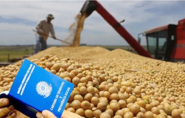 No Acre, SINE oferta 1.030 vagas de emprego nesta segunda (18): Veja para o setor do Agro