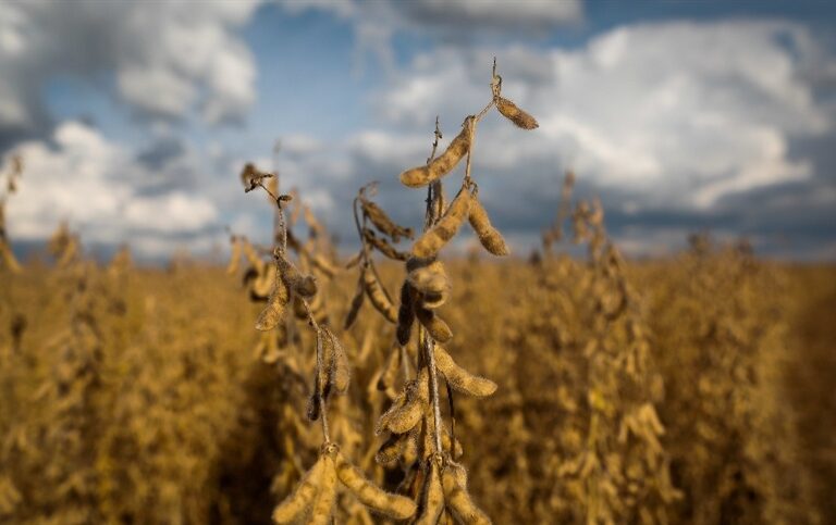 Projeto que veda totalmente desapropriação de terra produtiva para reforma agrária é aprovado