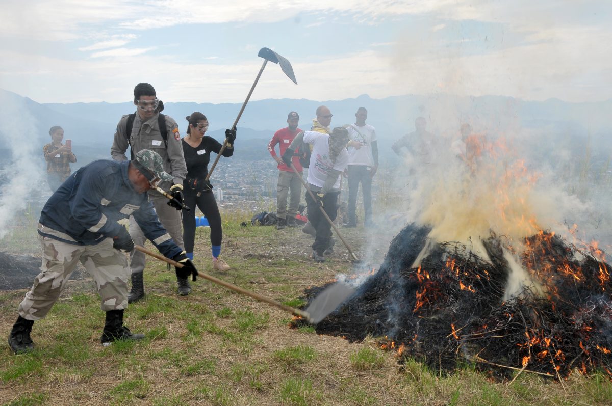 Projeto propõe isenção de ITR para imóveis rurais com brigadas de incêndio florestal 