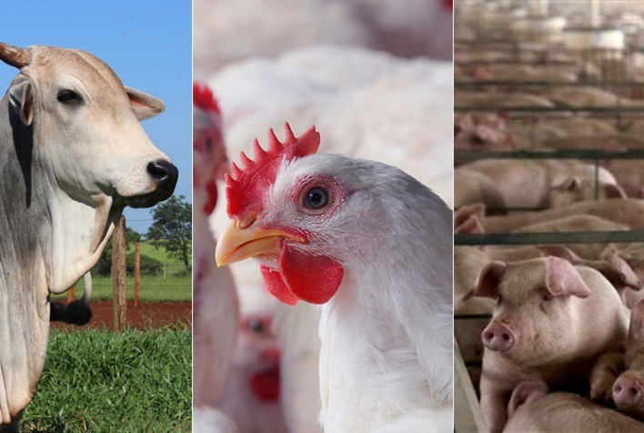 Entenda como ficam as exportações agrícolas após acordo Mercosul-UE