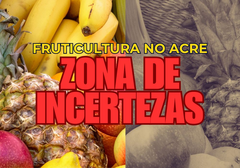 ARTIGO: A fruticultura acreana – potencial latente barrado por gargalos estruturais e simplórios