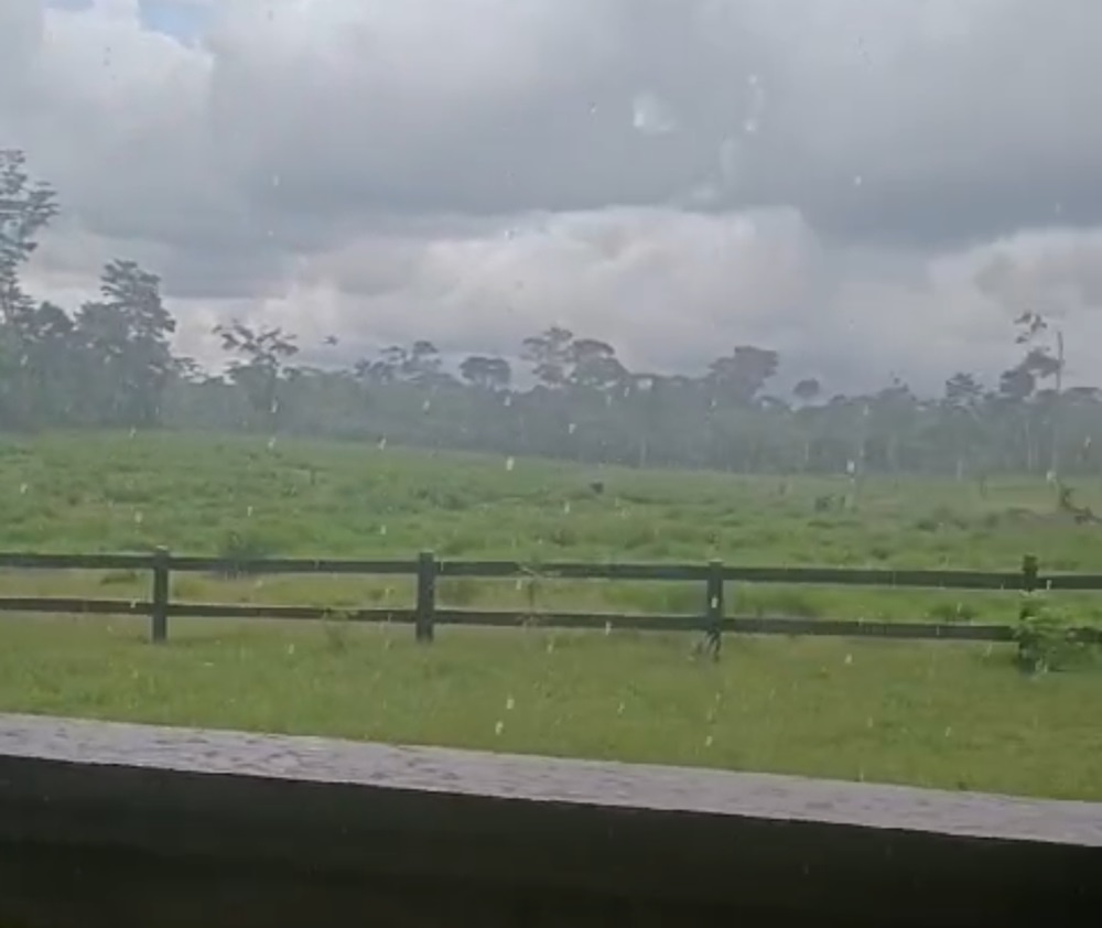 Perturbação atmosférica provocará muitas chuvas no domingo: Setor agrícola vibra no Acre