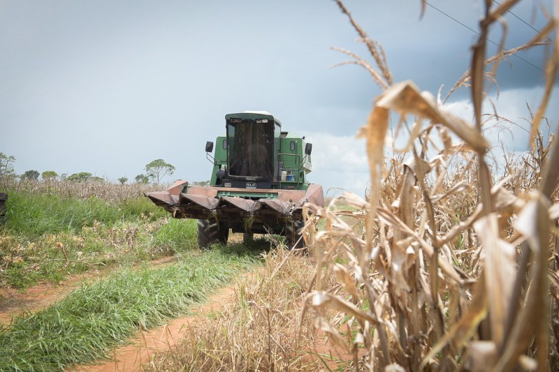 Orçamento para agronegócio no Acre dispara 344% e atinge R$ 52 milhões em 2025