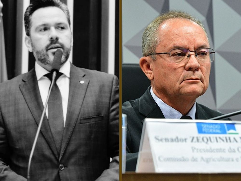 Sai Alan Rick e entra Zequinha na presidência da Comissão de Agricultura do Senado