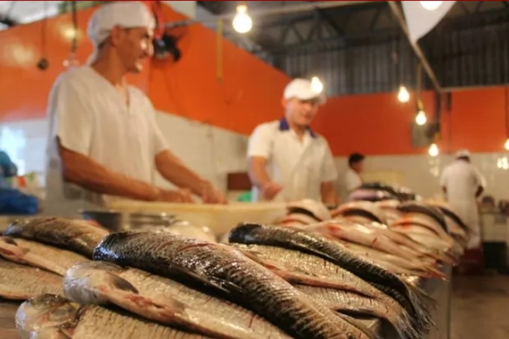 Com vagas para áreas do Agro, SINE-AC oferece 111 vagas de empregos nesta quinta