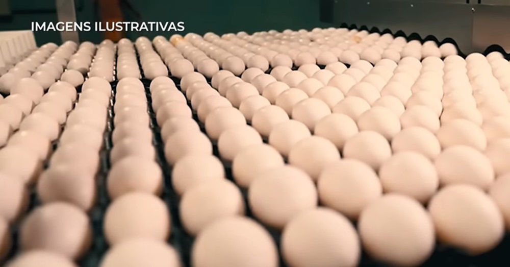 Estimada em R$ 5 milhões, Central de Incubação de Ovos do Acre será erguida na Transacreana
