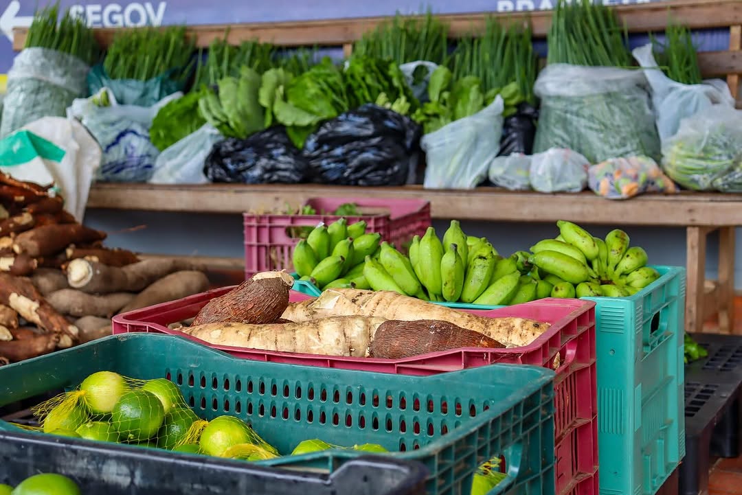 Conab lança, hoje, Programa de Aquisição de Alimentos para fortalecer a agricultura no AC
