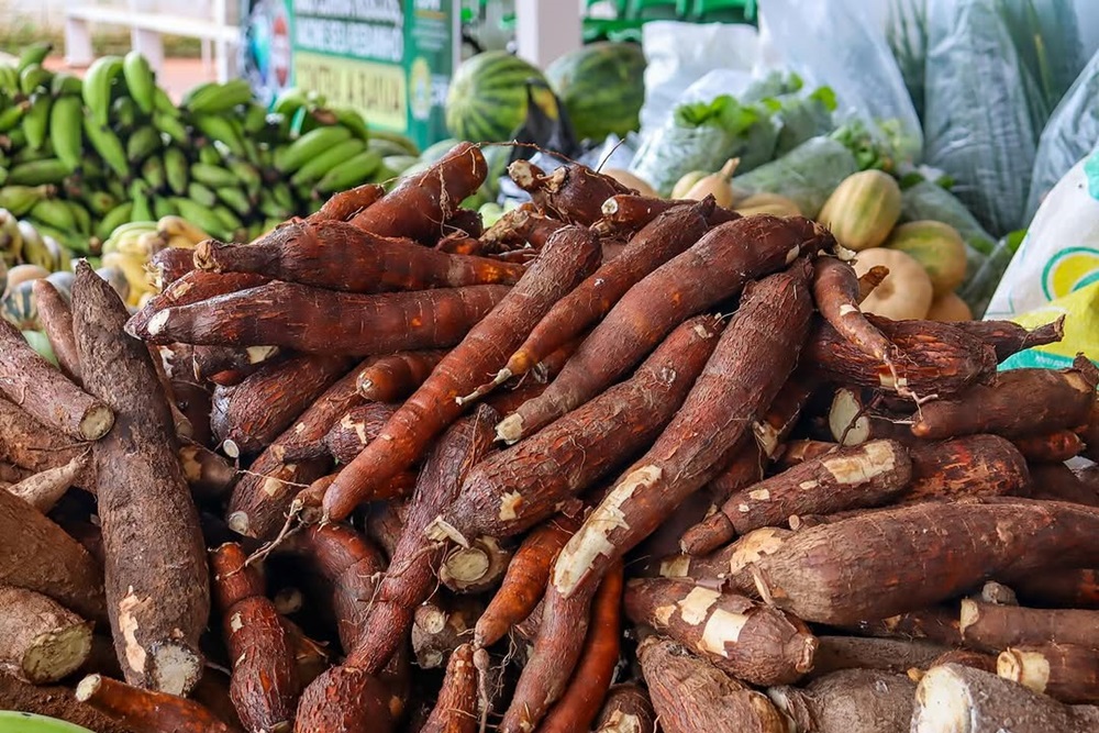 Agricultores acreanos têm até março para aderir ao PAA que compra direto da produção familiar