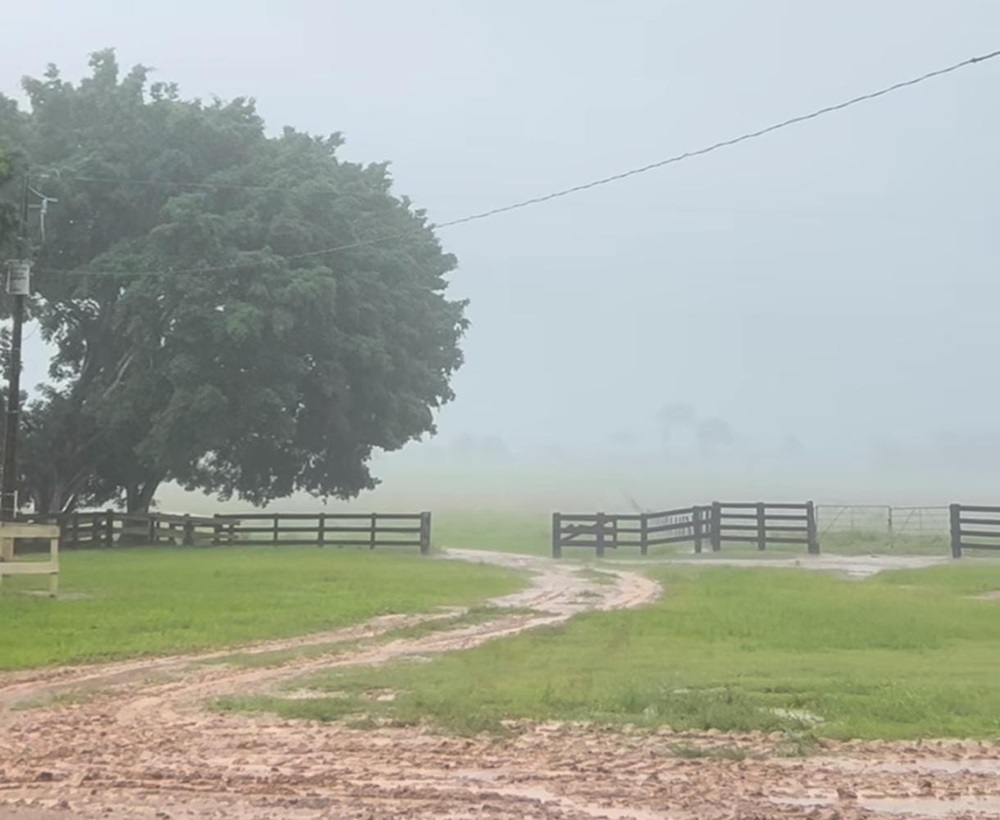 Previsão do Tempo: Domingo com chuvas pontuais que podem ser intensas, no Acre
