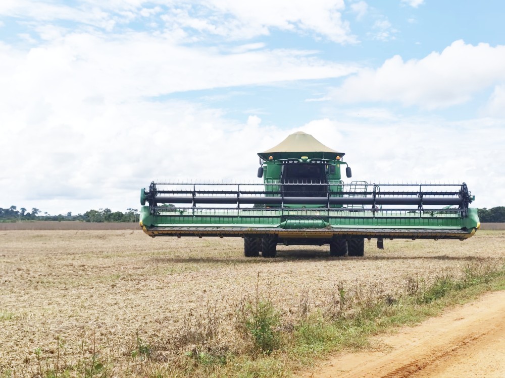 Safra 2025: Acre deve ter 18.500 hectares plantados com soja