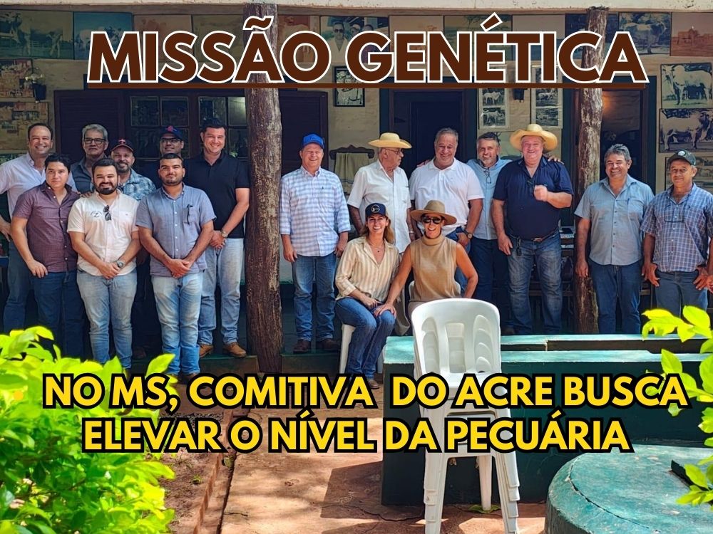 Pecuaristas do Acre fazem intercâmbio pelo MS em busca da elite da genética perfeita