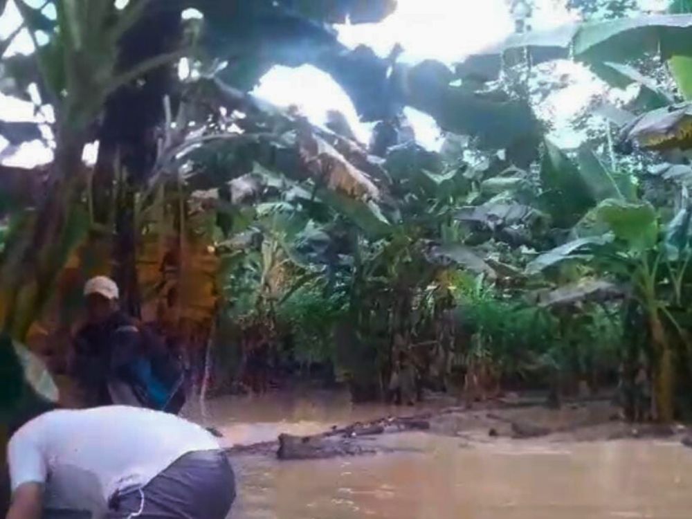 Vídeo: Indígenas de Marechal Thaumaturgo registram lavouras tomadas pelo Rio Breu