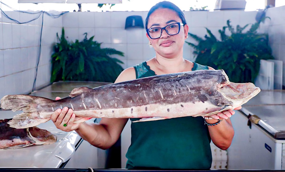 Feira do Peixe da Semana Santa em Rio Branco já tem data definida: Veja quando acontece