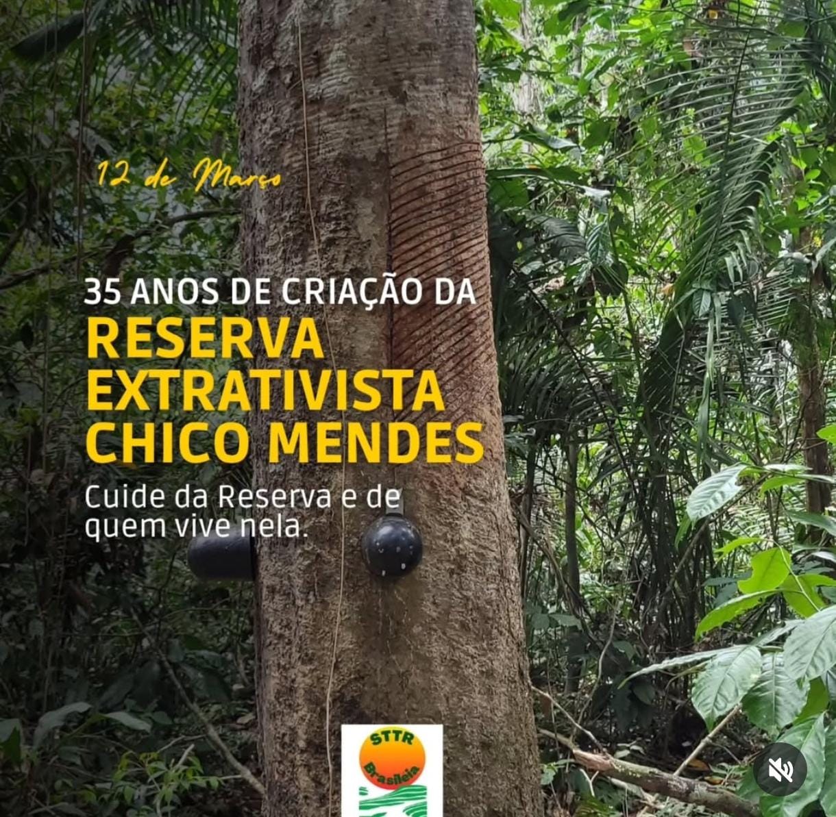 Reserva Chico Mendes: 35 anos de resistência e luta pela floresta