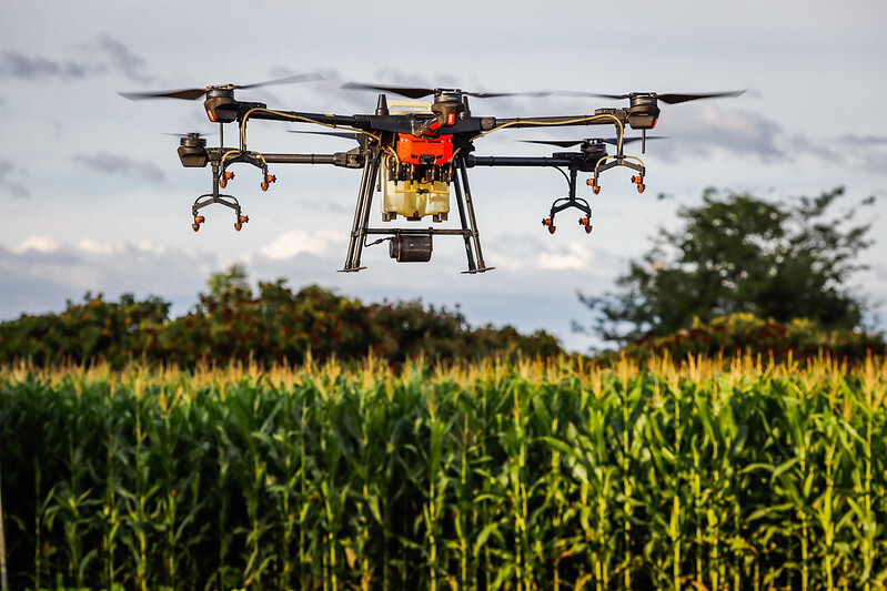 Mapa começa a utilizar drones para fiscalizar plantio