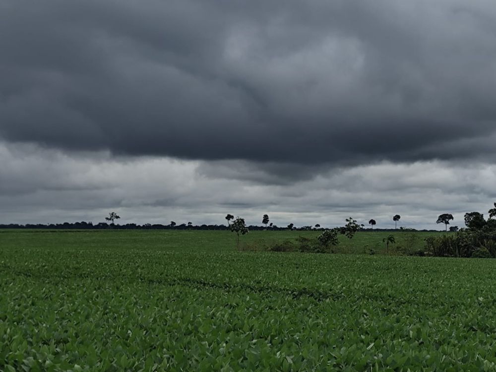 Março terá chuvas intensas na maior parte do AC: Nas cidades mais agrícolas sofrerão diminuições