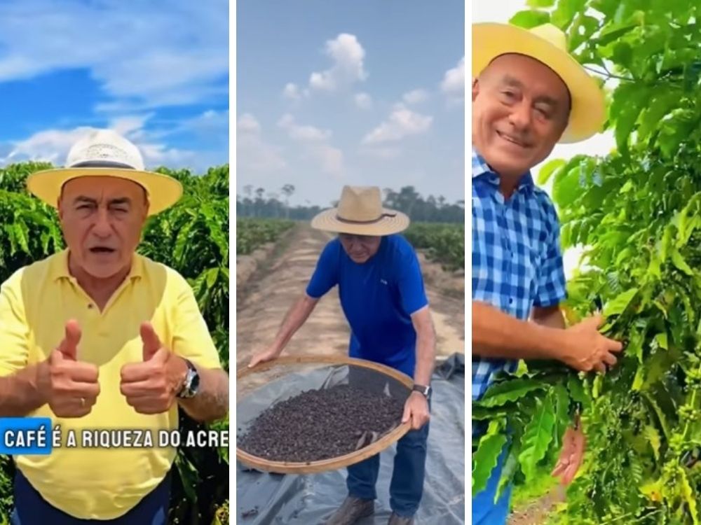 Bocalom desafia críticos e exibe lavoura de café no Dia Mundial da bebida