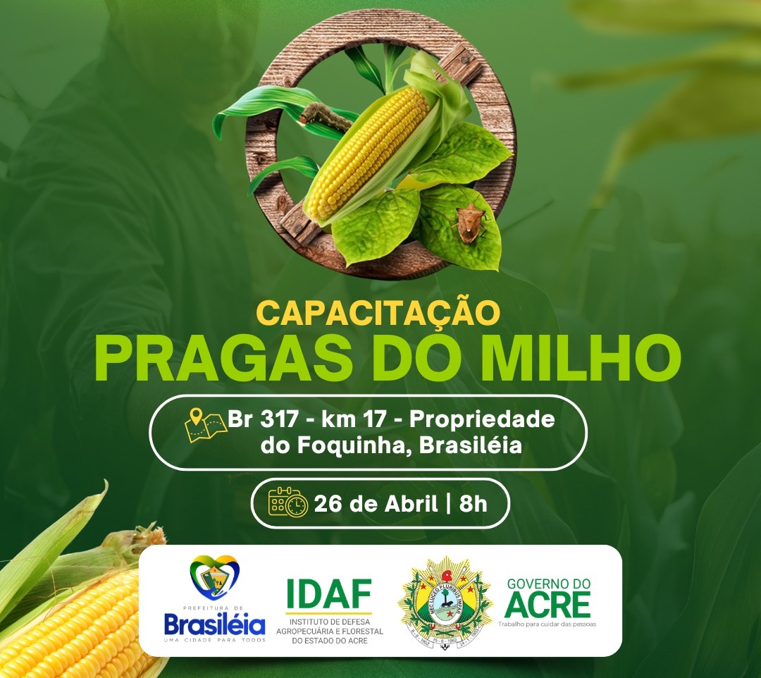 Praga no milharal é tema de capacitação para produtores de Brasiléia no dia 26