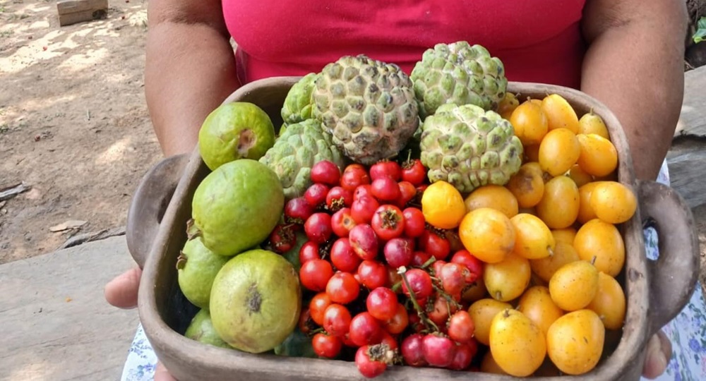 “Ceasa Digital” é sancionada na capital: Projeto vende via plataforma digital produtos da agricultura