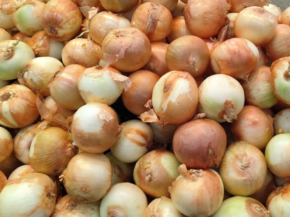 Cebola despenca nos mercados da capital enquanto preço sobe no resto do país