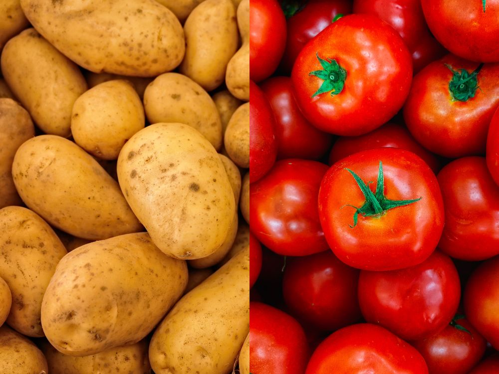 Rio Branco registra batata mais cara do país e queda no preço do tomate