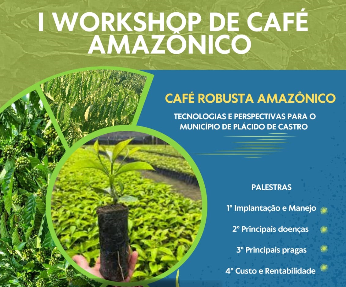 Abertas as inscrições para o 1° Workshop de Café Clonal de Plácido de Castro