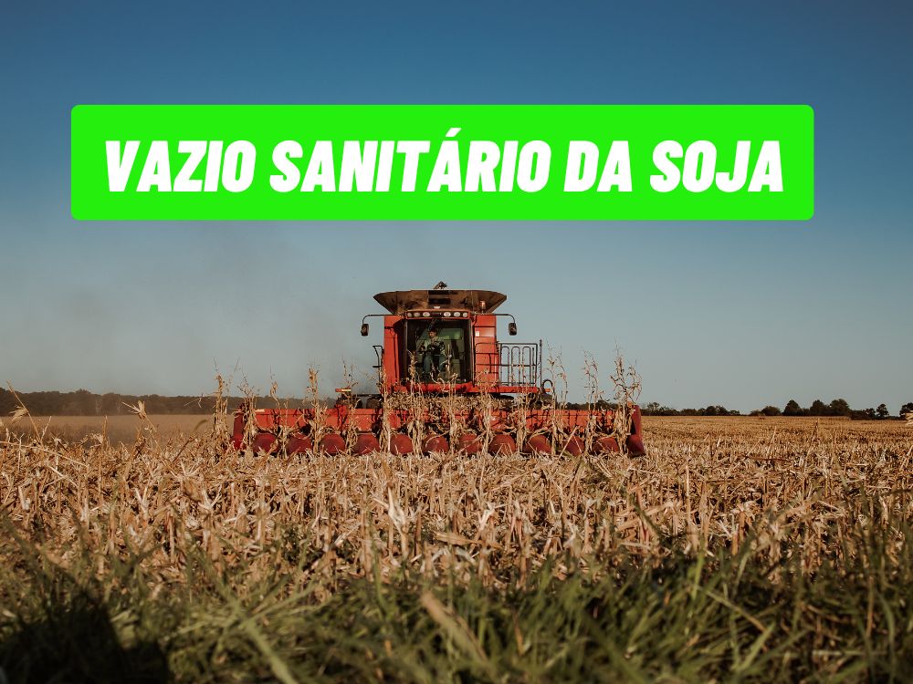 Acre entra no vazio sanitário da soja e produtores já miram a próxima semeadura