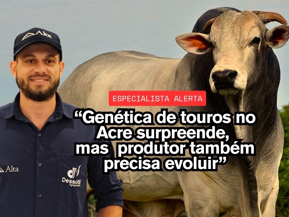 “Mais carne com menos pasto e mais genética”: especialista aponta rumo da pecuária no Acre