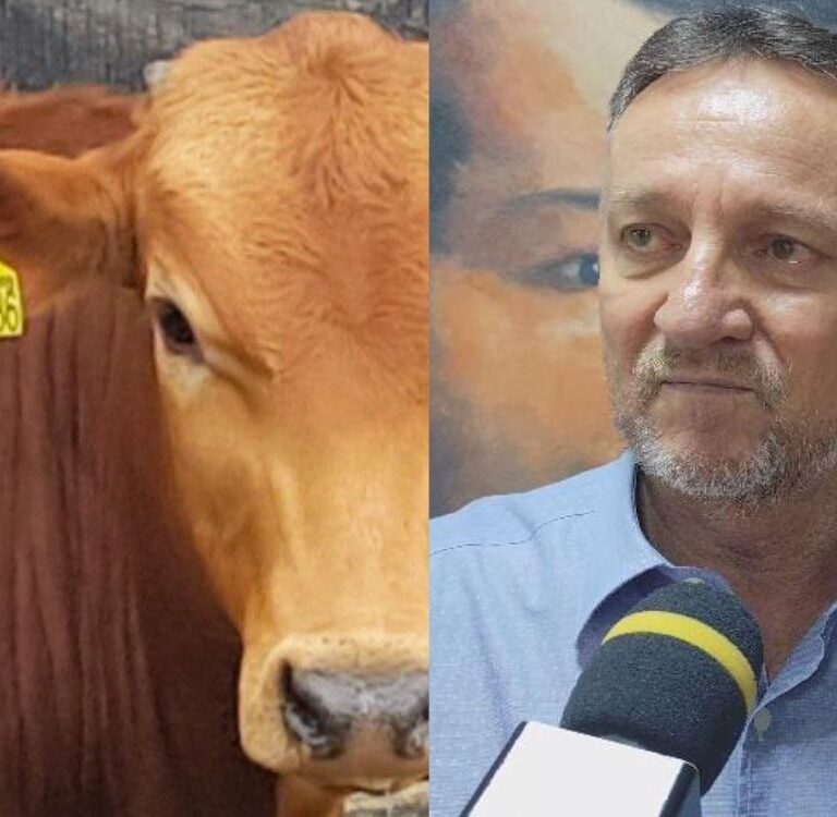 “Rastreabilidade bovina é atestado de pobreza para o Acre”, dispara produtor