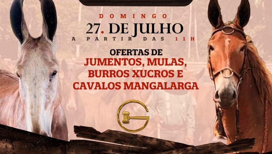 Leilão Tropa Estrela acontece neste domingo (27) com os melhores animais da região