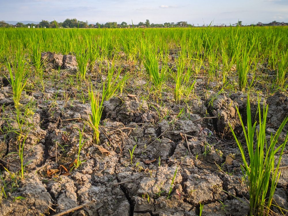 Governo Federal libera R$ 6 milhões para o Acre enfrentar a seca