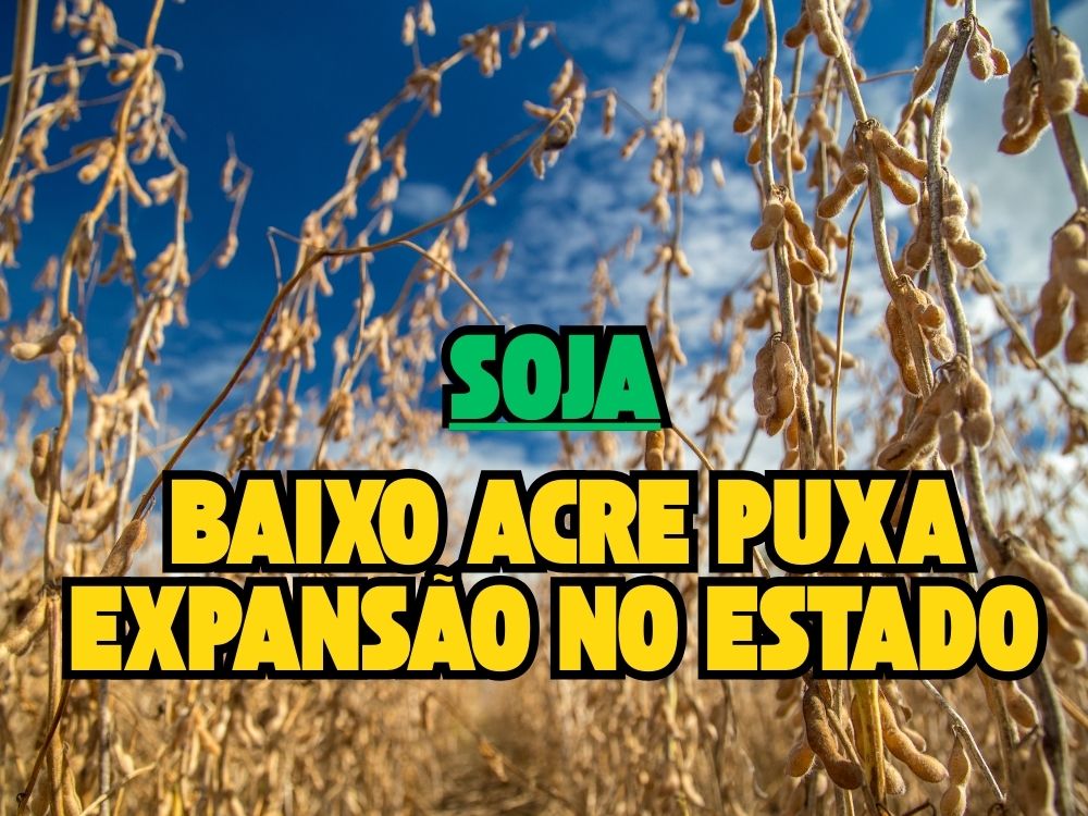 “Exportação de soja do Acre mais que dobra em um ano”, diz Boletim da FAEAC
