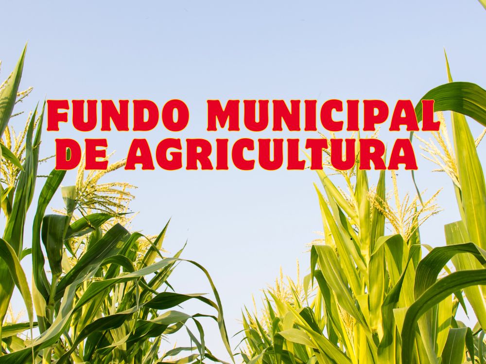 Lei cria Fundo Municipal de Agricultura para financiar programas rurais em Assis Brasil