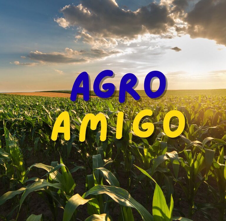 Acre é o segundo estado que mais contrata crédito rural pelo AgroAmigo