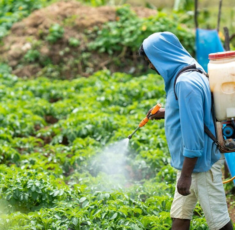 Governo cria comitê para reduzir uso de agrotóxicos no campo