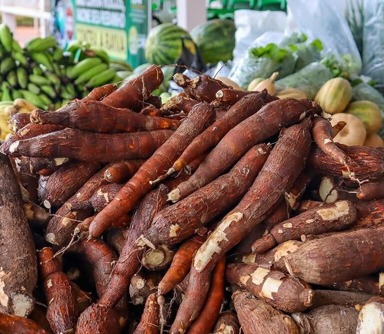 Produtores rurais se preparam para feira no estacionamento do Incra na capital