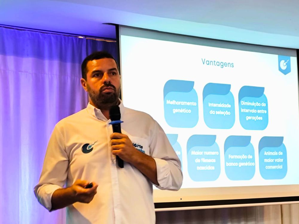 Transferência de embrião antecipa seis gerações e eleva produtividade do leite, afirma especialista